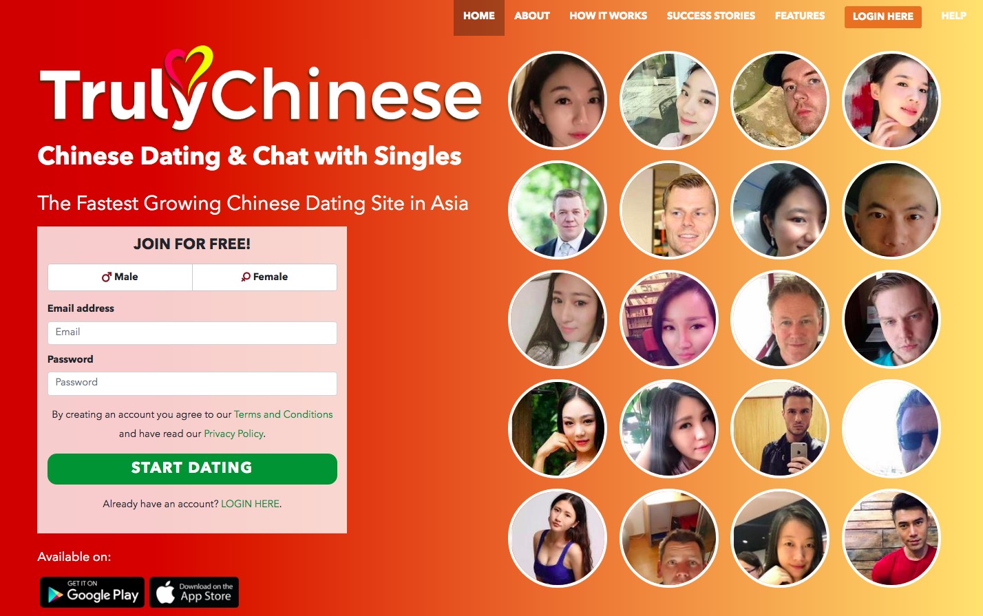 TrulyChinese main page